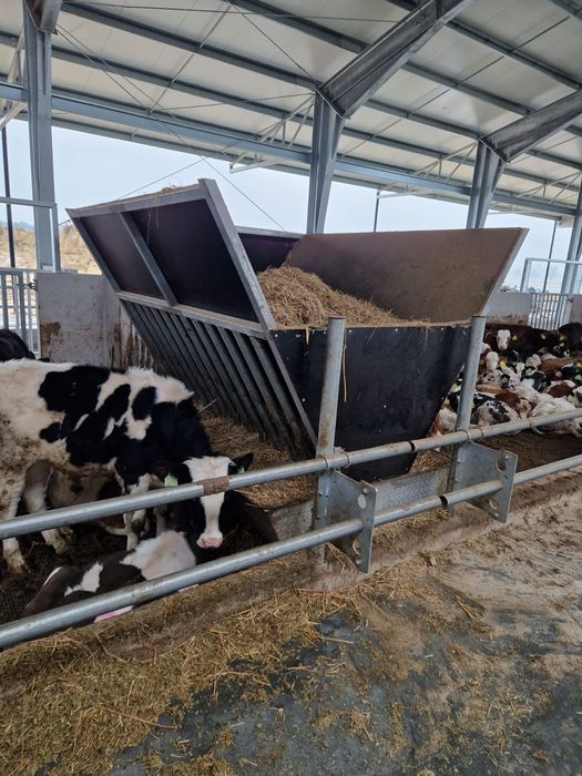 Paśnik dla Bydła/Solidna/Duży 8500 netto