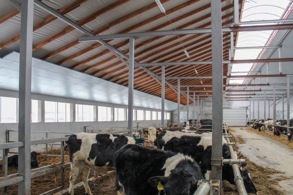 Płyty Styrodurowe XPS AGRO Podsufitka Thermo Ocieplenie Izolacja Dachu