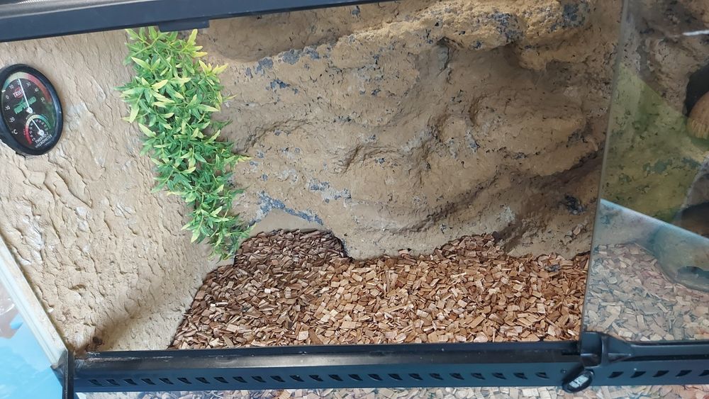 Terrarium ExoTerra 90x45x45 wyposażone