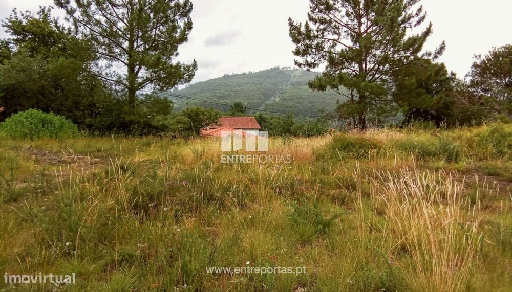 Plot for Sale, Mujães, Viana do Castelo