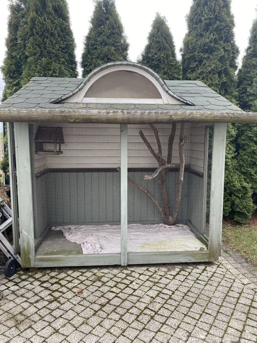 Woliera do Ptaków, Papug