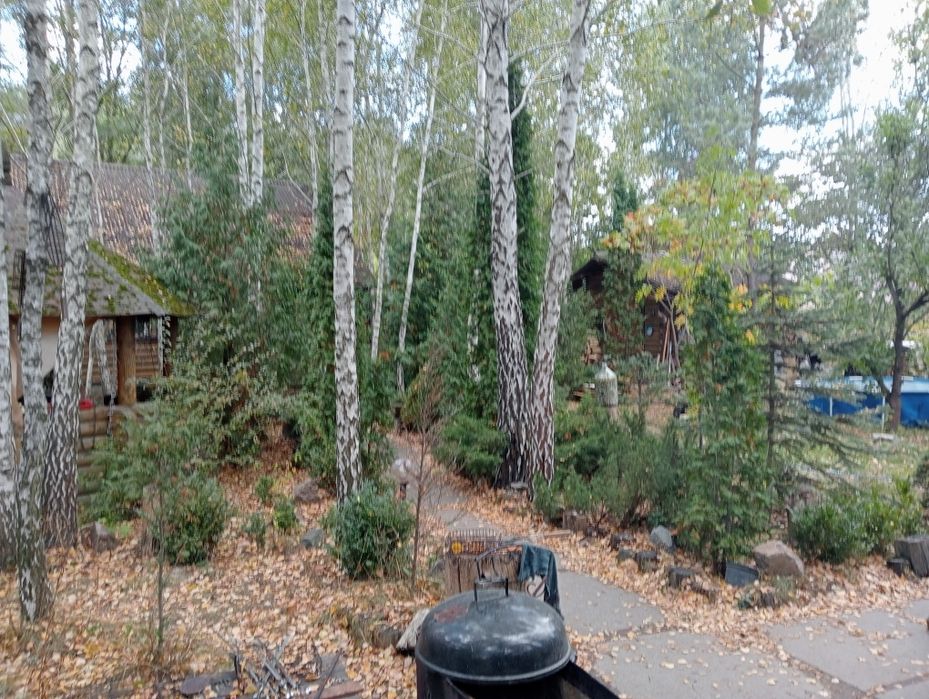 Оренда подобово заміський будинок зі зрубу баня