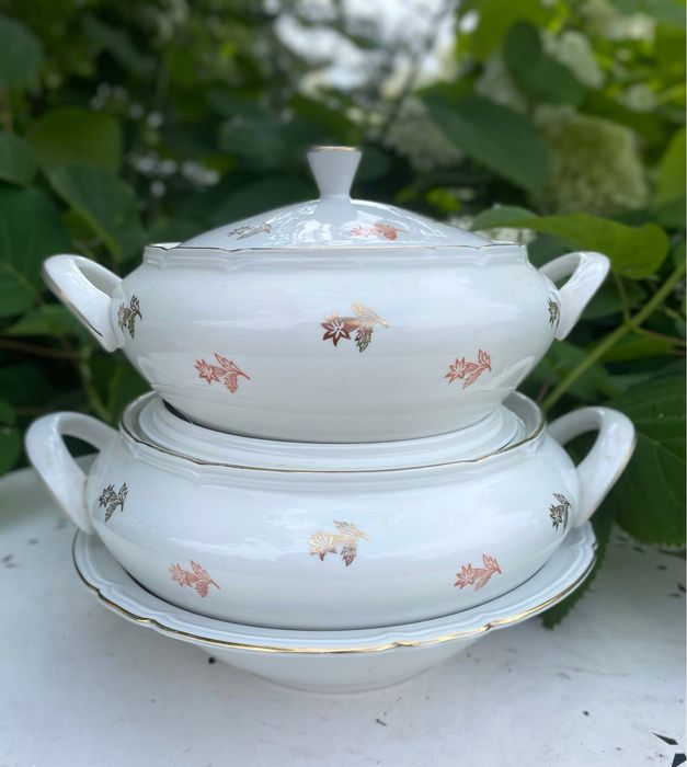 Набір порцелянового посуду 1200 грн