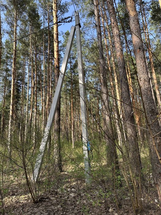 Ділянка 1 гектар в елітному районі Дмитрівки, ліс, асфальт, електрика