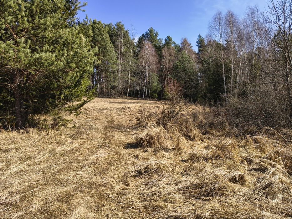 Piękna działka rolna z widokiem