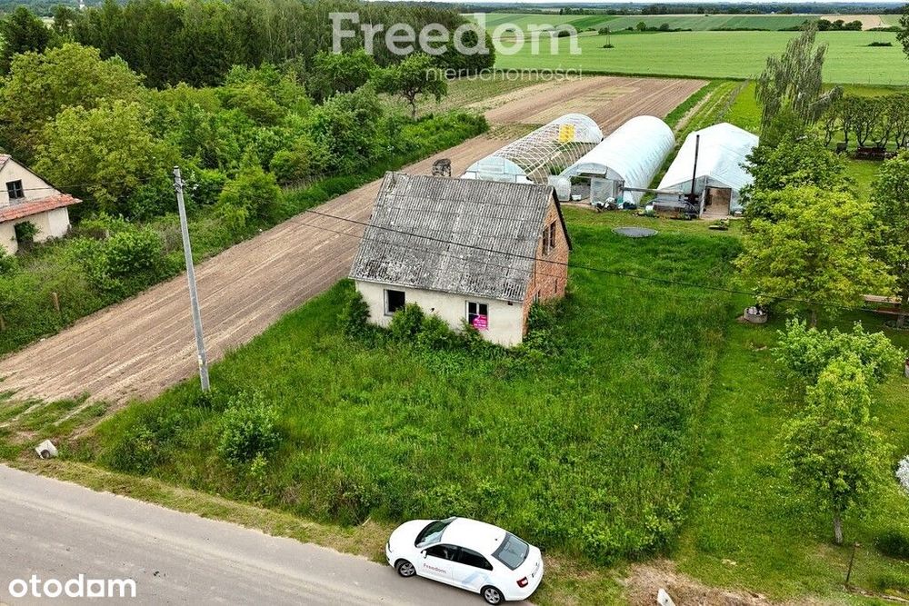 Dom 65 m² do remontu na działce 889 m² - Widok 5