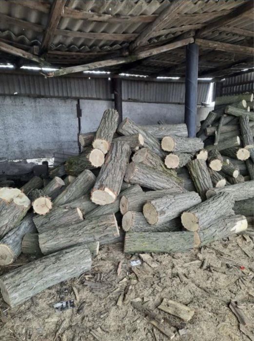 Продам дрова Акацыя  Бесплатная доставка
