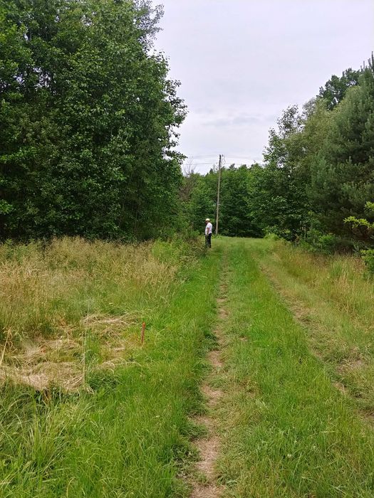 Działka Kąty Czernickie. Gmina Strachówka. 1625mkw. Warunki zabudowy