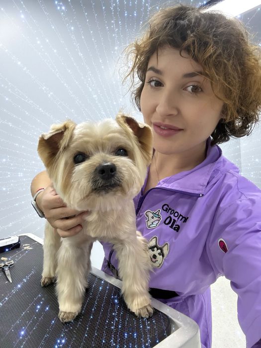 Професійний грумінг собак Героев Днепра , Оболонь Грумер