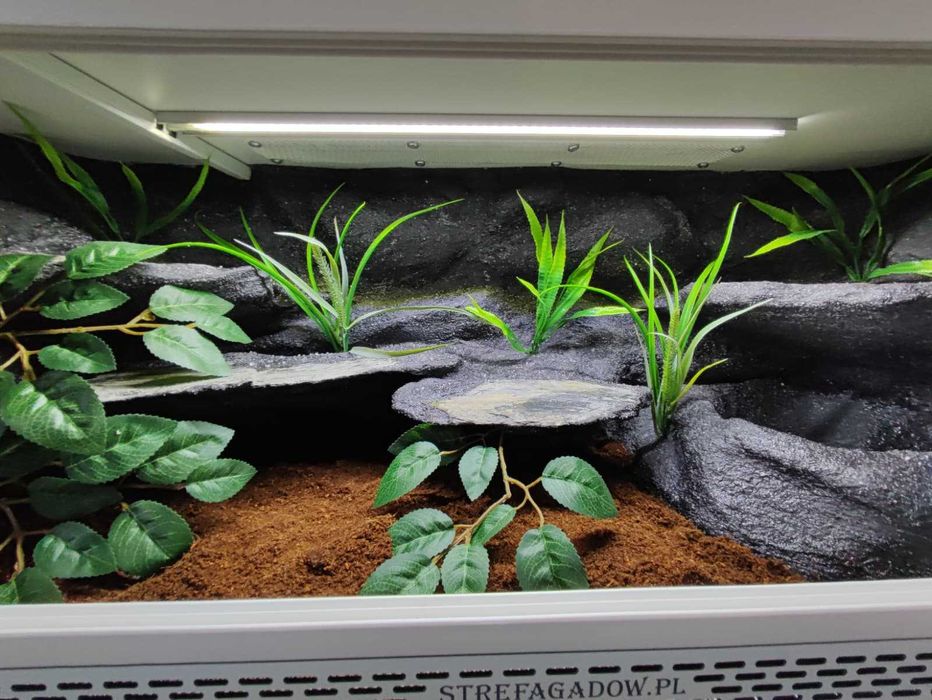Terrarium tropikalne nr771 100/40/40 dla węża boa pyton  NA ZAMÓWIENIE