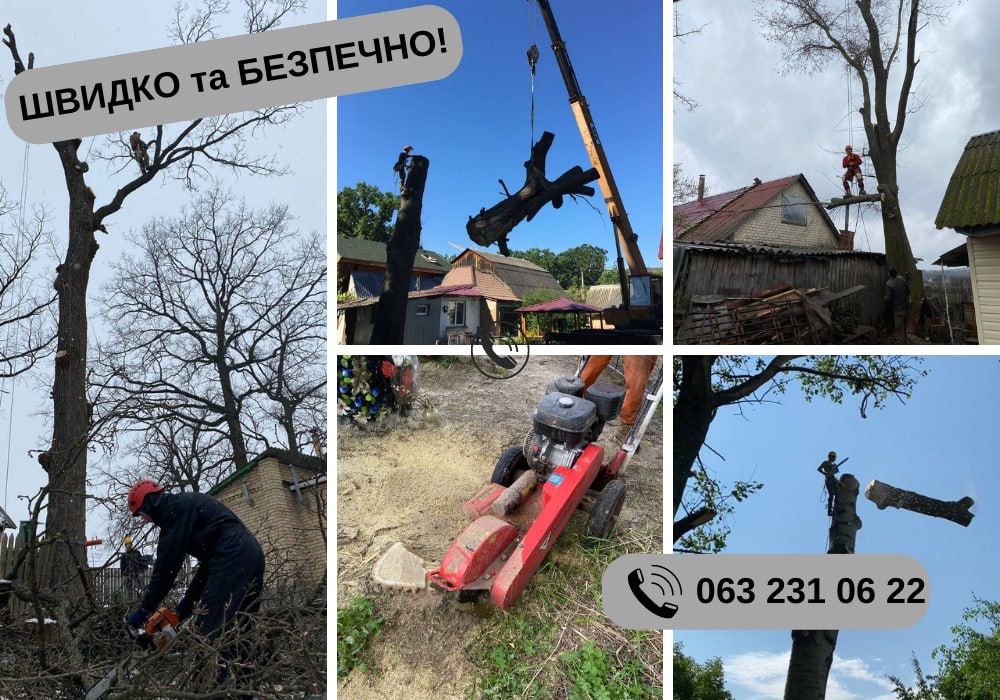 Видалення дерев, Обрізка, Спил, Валка, Кронування, Зачистка території