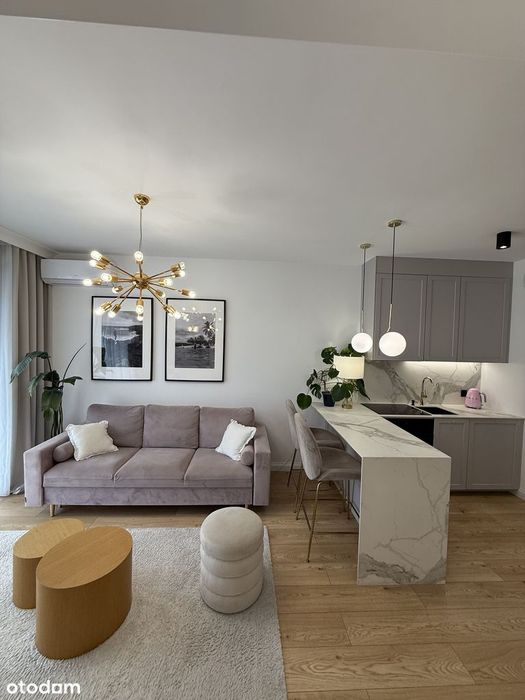 Jana Kazimierza Lux 2 Pokoje Pet Friendly Od 1 Września