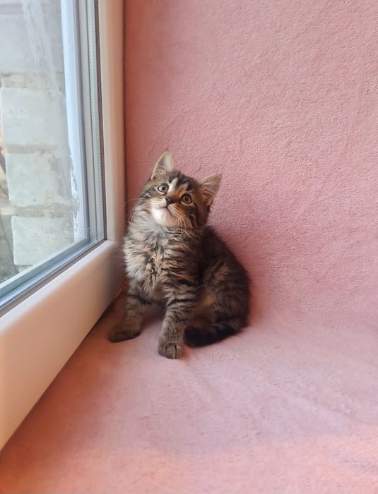 Лучшее предложение