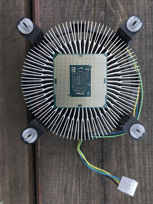Procesor Intel Celeron G3900, 2x3,5 GHz Wwa Ursus