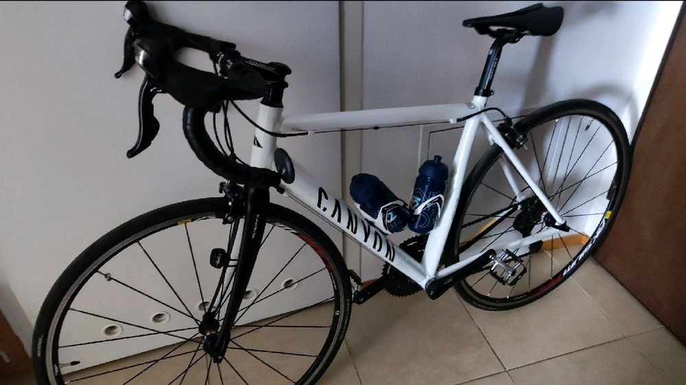 Canyon Roadlite 6.0 AL , S/ 51CM / WIDELEC CARBON / bezwypadkowy/