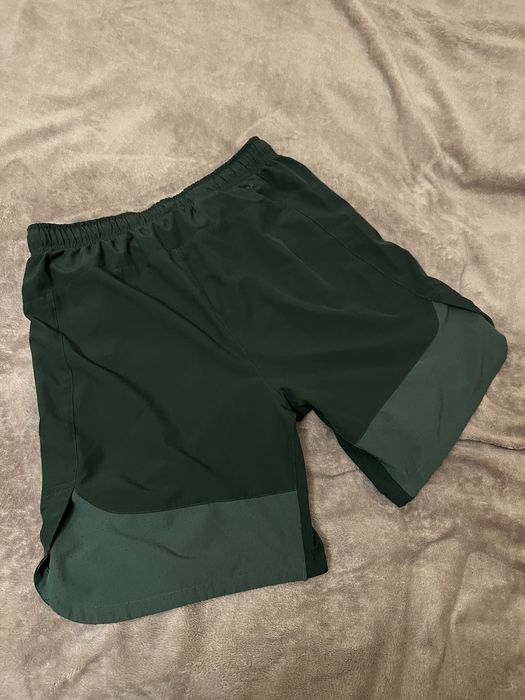 Чоловічі шорти Nike dri fit