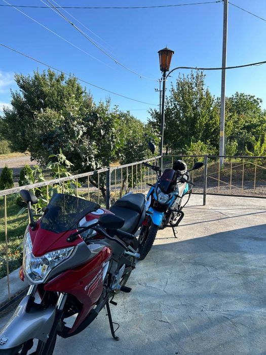 forte 300 реальному покупателю торг