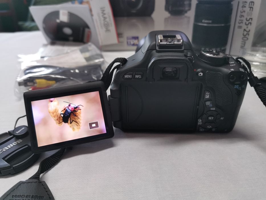 CANON 600D + Lente EF-S 18-55mm