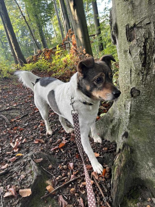 Czy ktoś mnie pokocha?