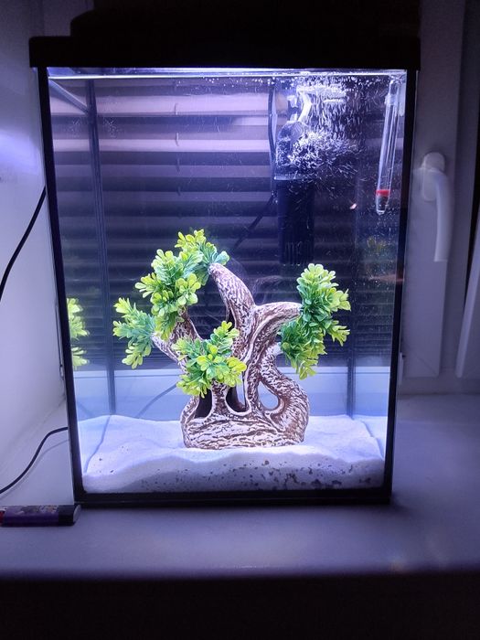 Akwarium  komplet