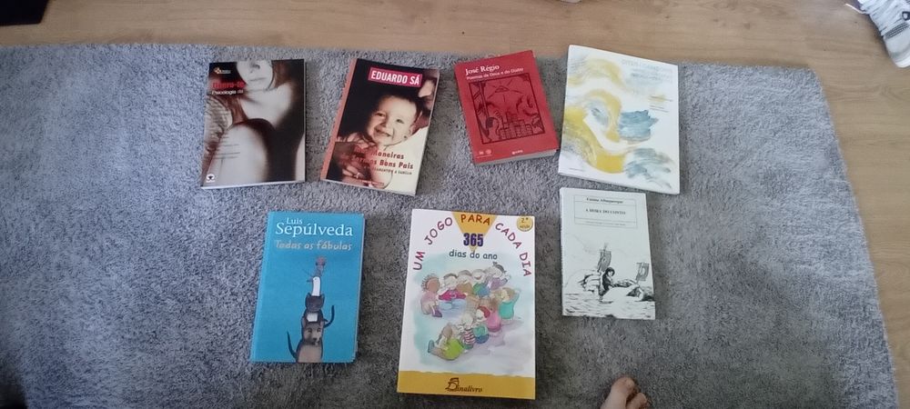 Lote 26 Livros de Educação, Pedagogia, Psicologia Infantil, Desenvolvimento e Ensino – Muito bom estado