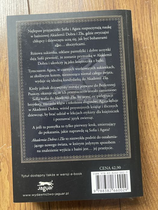 Seria książek „Akademia dobra i zła”