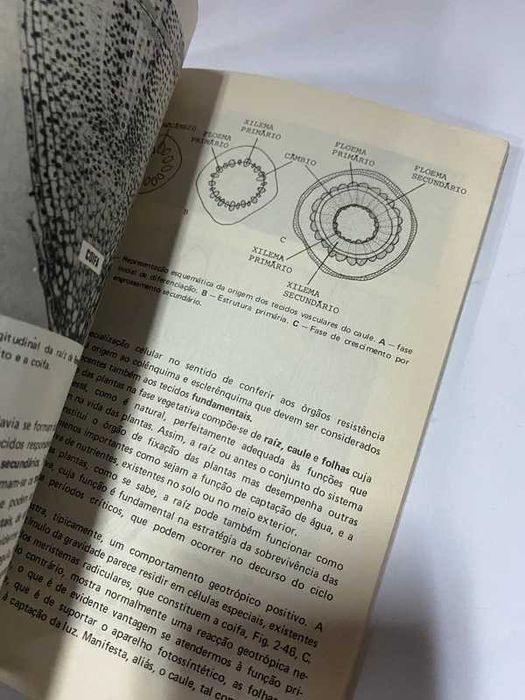 Livro antigo - Ciências Naturais ap biologia