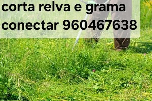 Faço limpeza de quintal e terrenos corta matos e relva