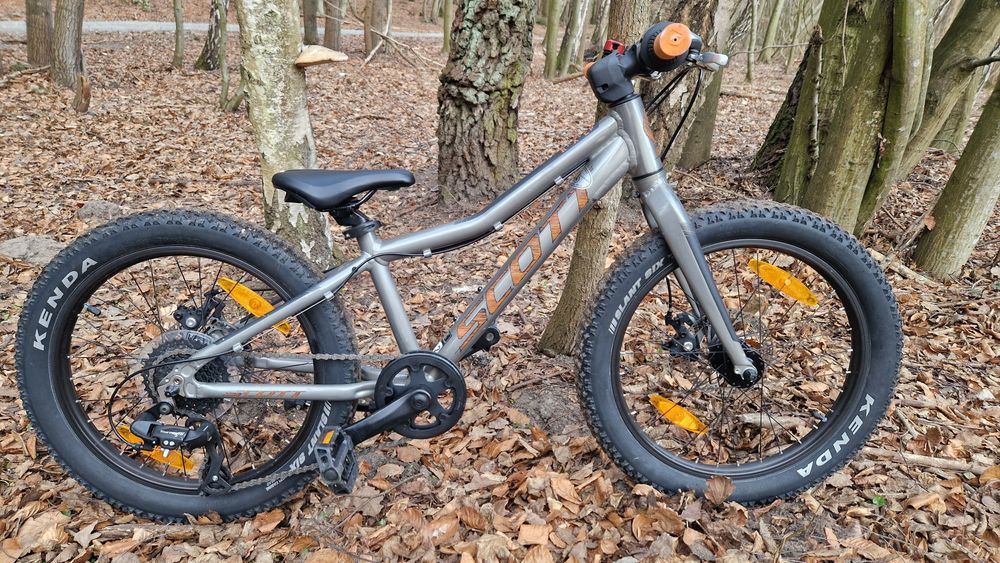 Scott roxter 20 cali jak scale