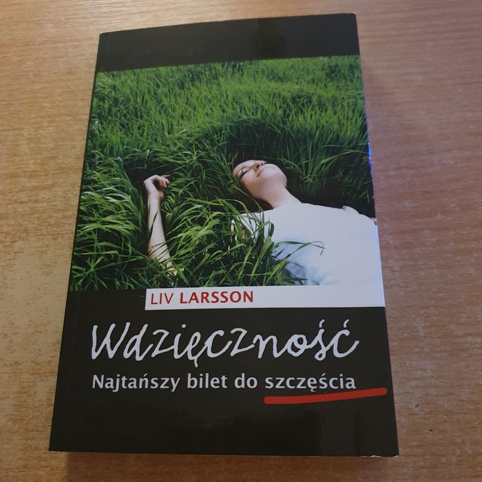 Wdzięczność Liv Larsson Najtańszy bilet do szczęścia