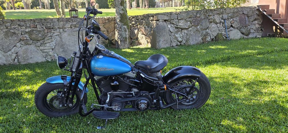 Harley-Davidson FLSTS  Cross Bones
