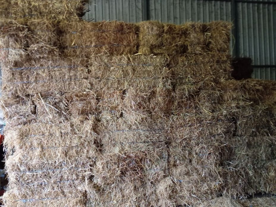 Vendo fardos de feno