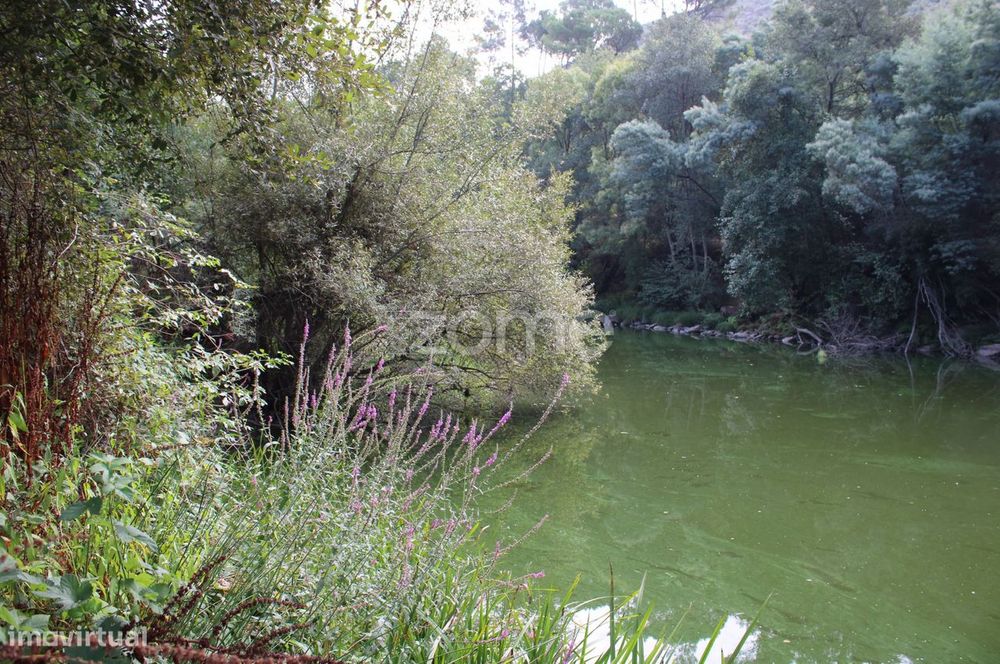 Terreno na margem do Rio Dão