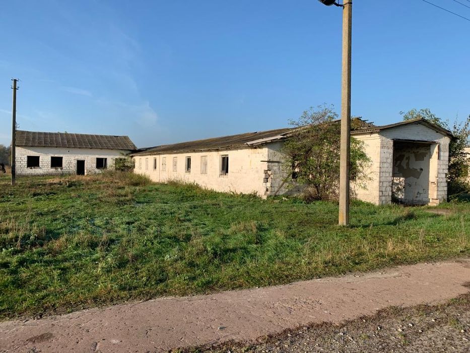 Продам ферму корівник Бучанський р-н, с. Борівка