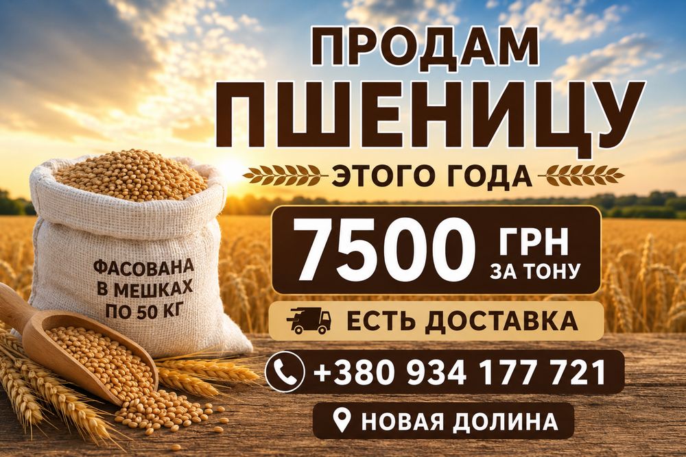 Продам пшеницу этого года