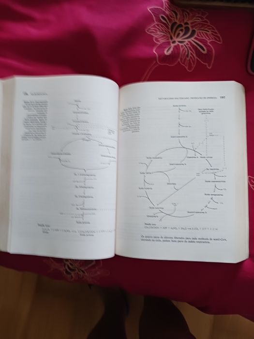 Livro "Microbiologia" de Pelczar