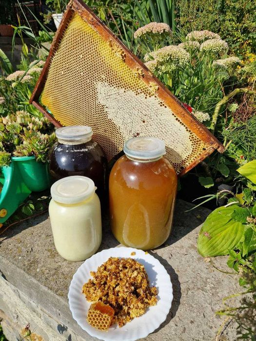 Мед : травневий, літнє різнотрав'я, гречаний. Забрус