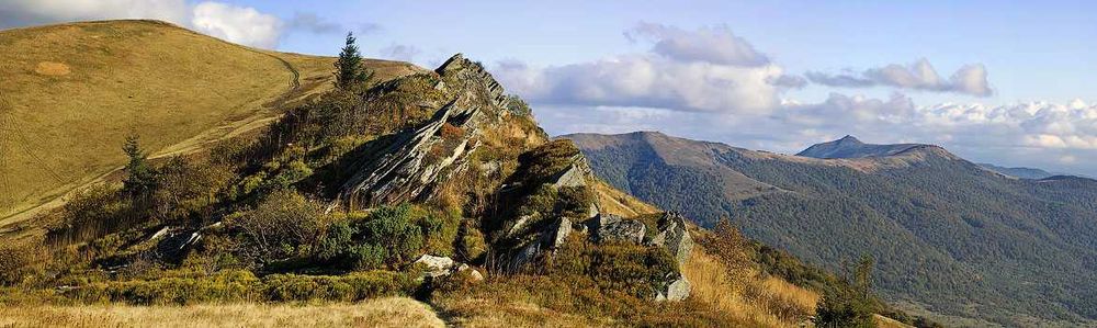 Земельна ділянка в Карпатах с.Верхнє Гусне