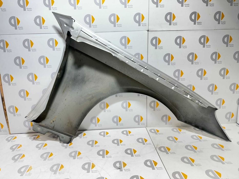 Guarda Lamas frente esquerdo Mercedes cls c219 w219