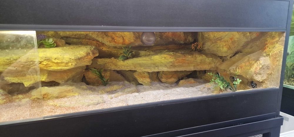 Sprzedam  Terarium 150 cm