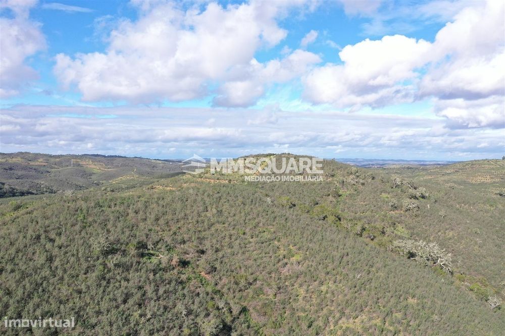 Herdade  Venda em Santana da Serra,Ourique