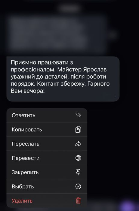 Професійні  майстри  по будинку та квартирі  , муж на час )