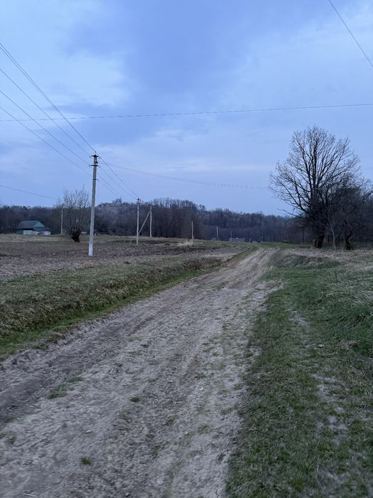 Будинок біля лісу, велика ділянка для дачі, відпочинку, біля Карпат