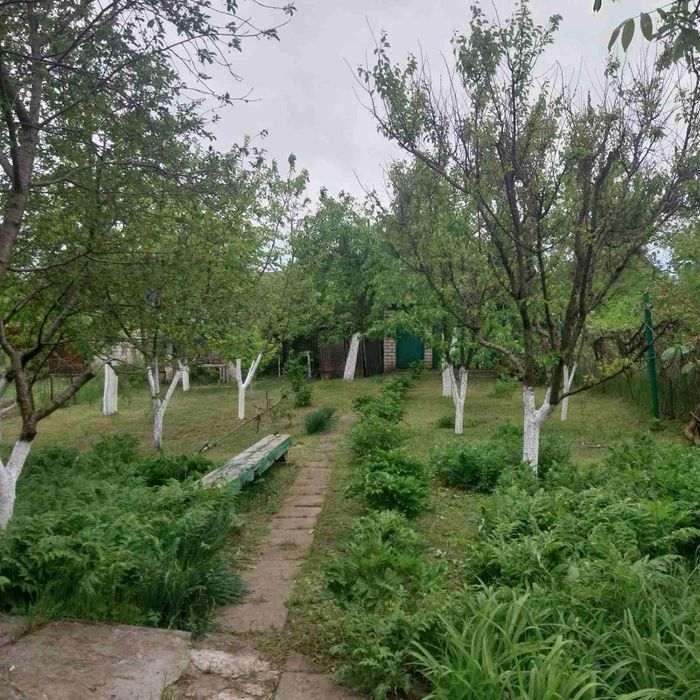 Продаю дачу Костянтинівка Южний Буг