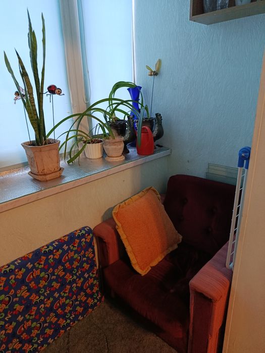 Здам кімнату на Березняках