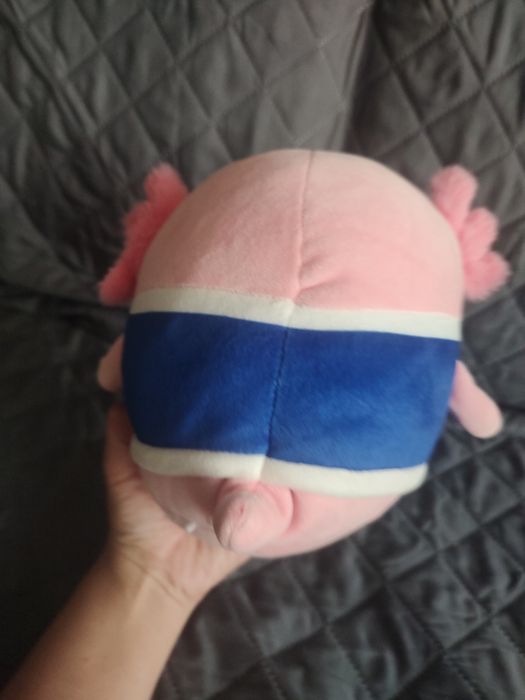 Squishmallows Axolot Archie 19cm maskotka