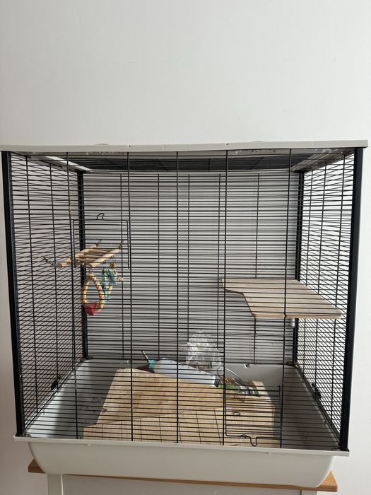 Klatka frodo dla gryzoni