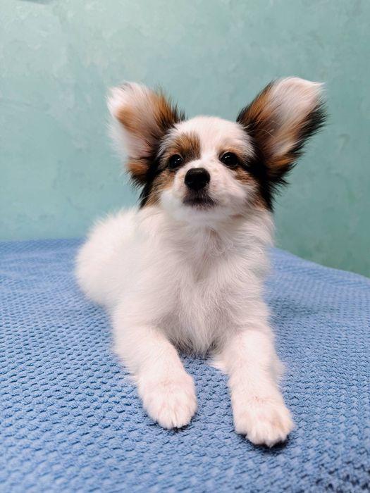 Файна дівчинка, є відео