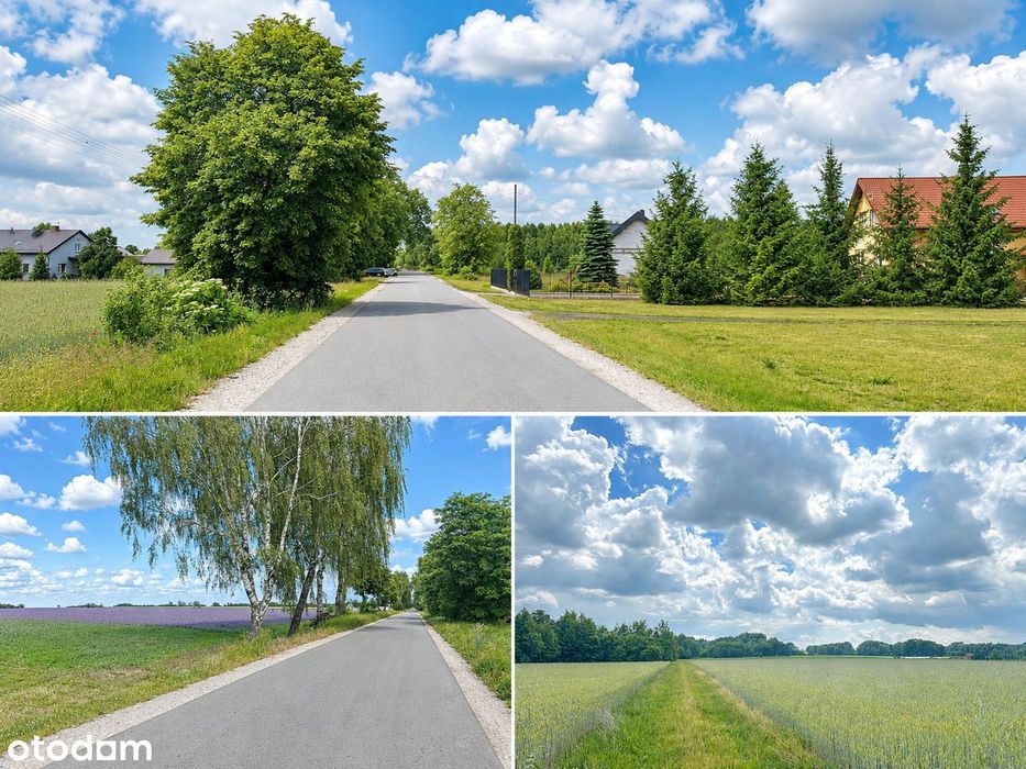 Działki 3000 m² w malowniczej okolicy – Gmina Jeżewo