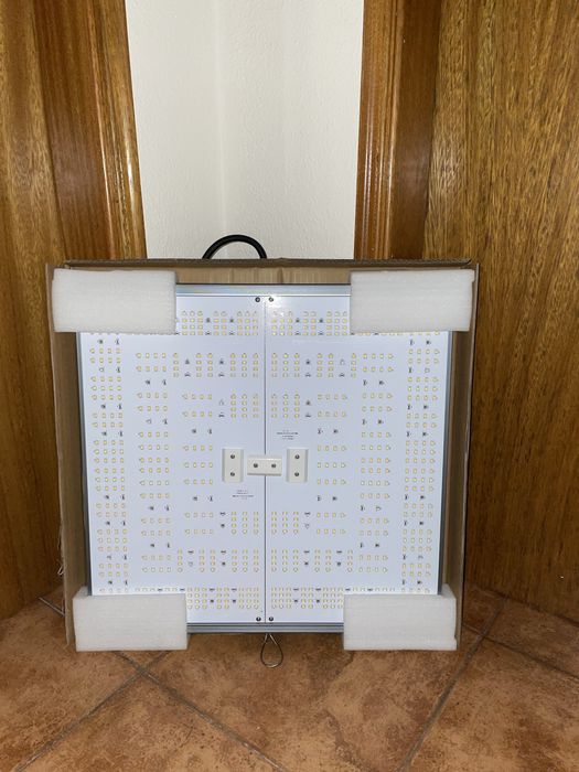 Luz Pure LED Q240
